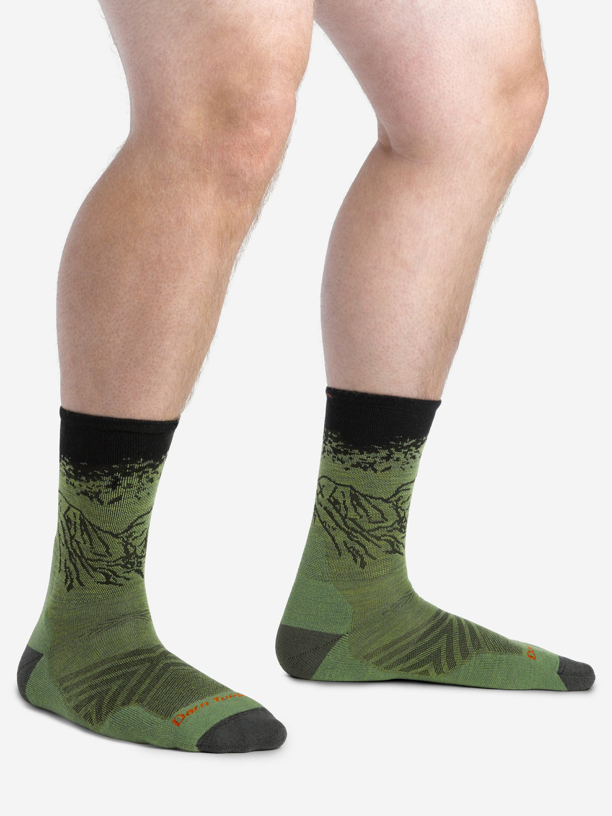 Vert Micro Crew Ultra-Lightweight with Cushion Running Socks Darn Tough Lichen Marmot