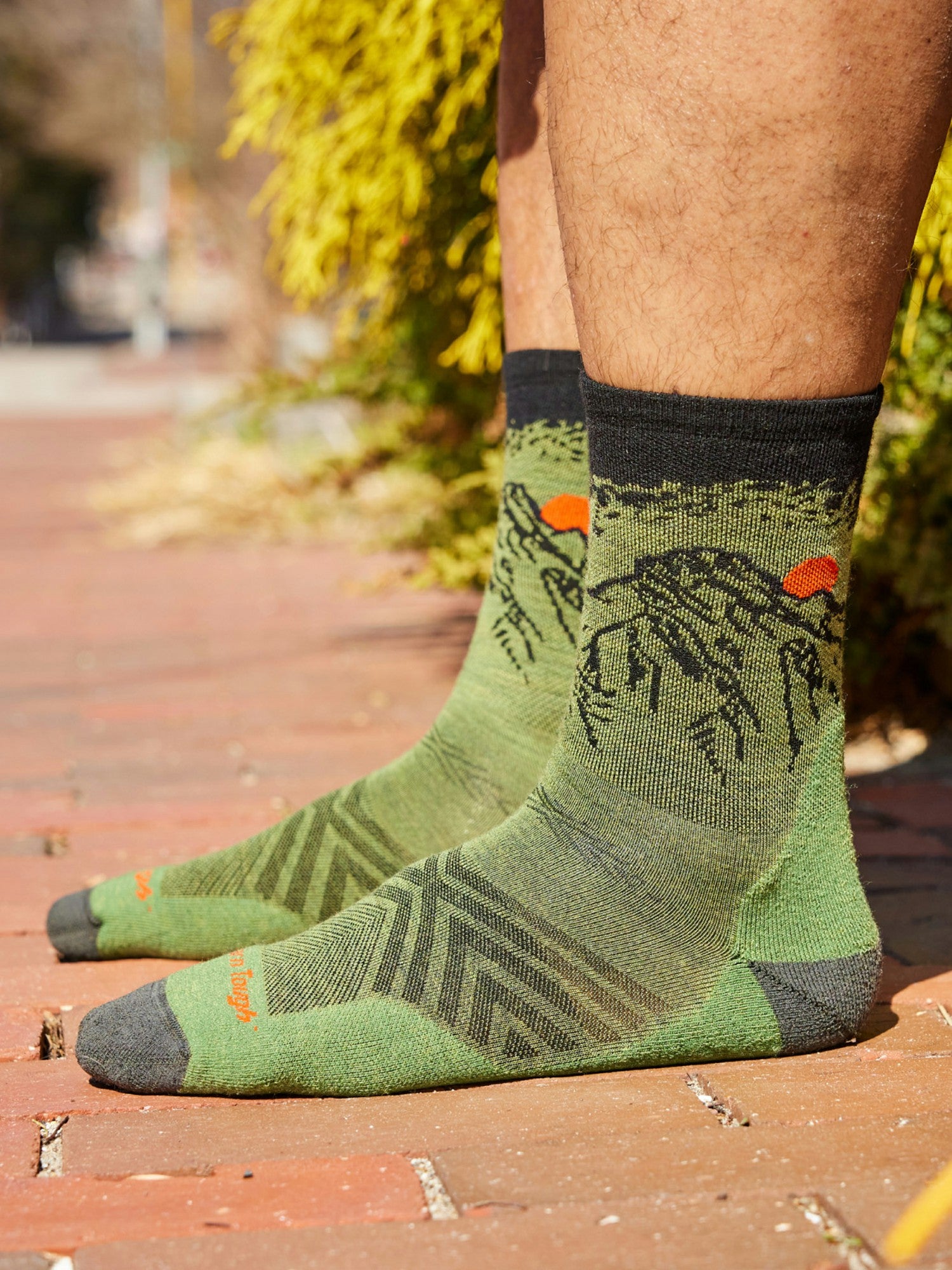 Vert Micro Crew Ultra-Lightweight with Cushion Running Socks Darn Tough Lichen Marmot