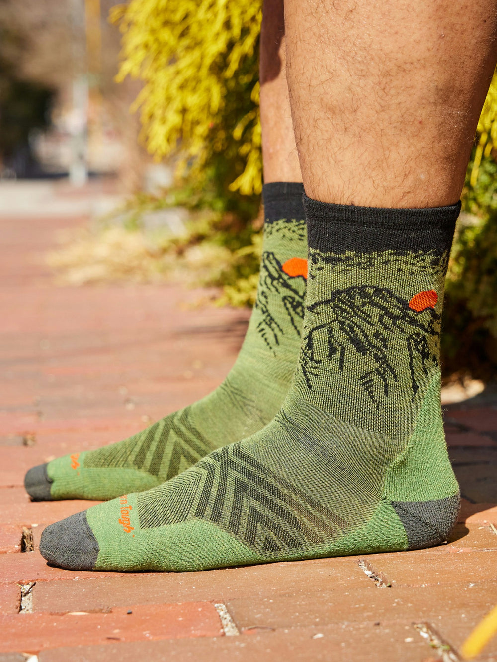 Vert Micro Crew Ultra-Lightweight with Cushion Running Socks Darn Tough Lichen Marmot